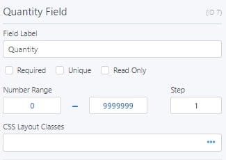 Quantity Fields Option