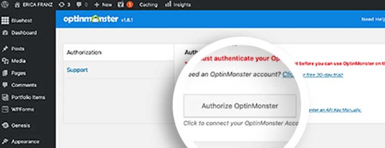 Authorize optinmonster