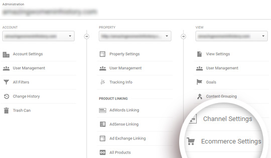 Ecommerce GiveWP settings in google analytics