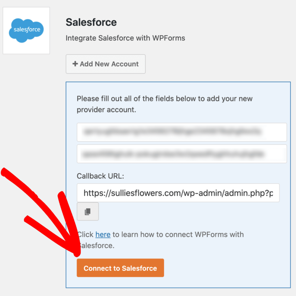 Connect salesforce to wpforms