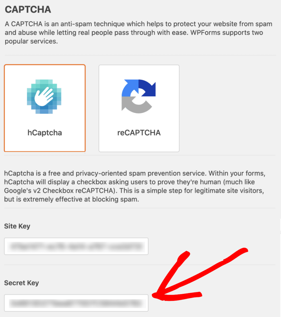 secret key in wpforms setting