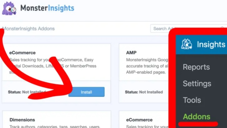 Install MonsterInsights ecommerce addon