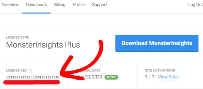 MonsterInsights licence key